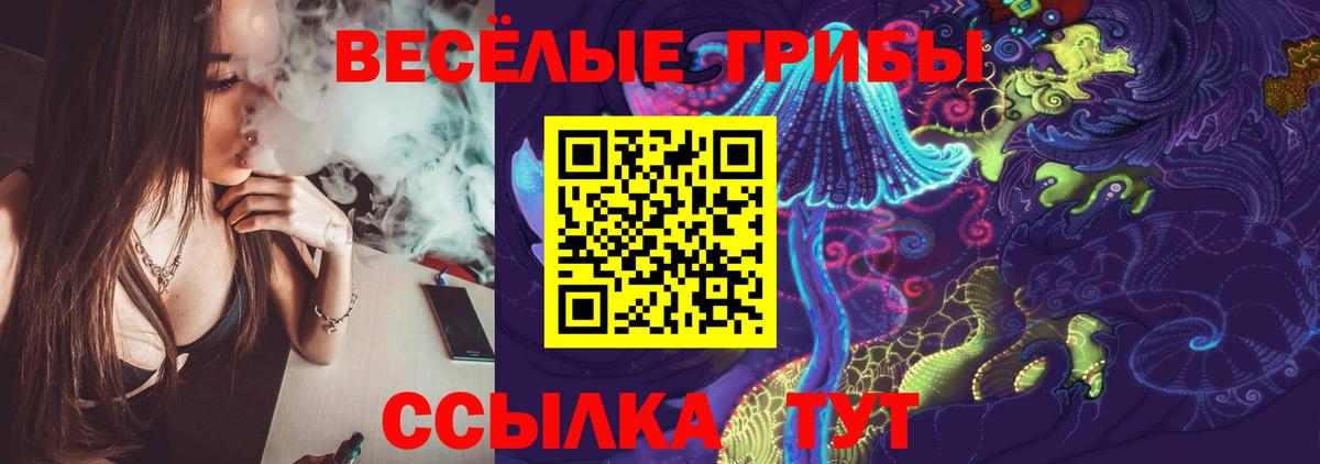 Абакан  Псилоцибиновые грибы ЛСД  Вход с VPN  Псилоцибиновые грибы GOLDEN TEACHER 